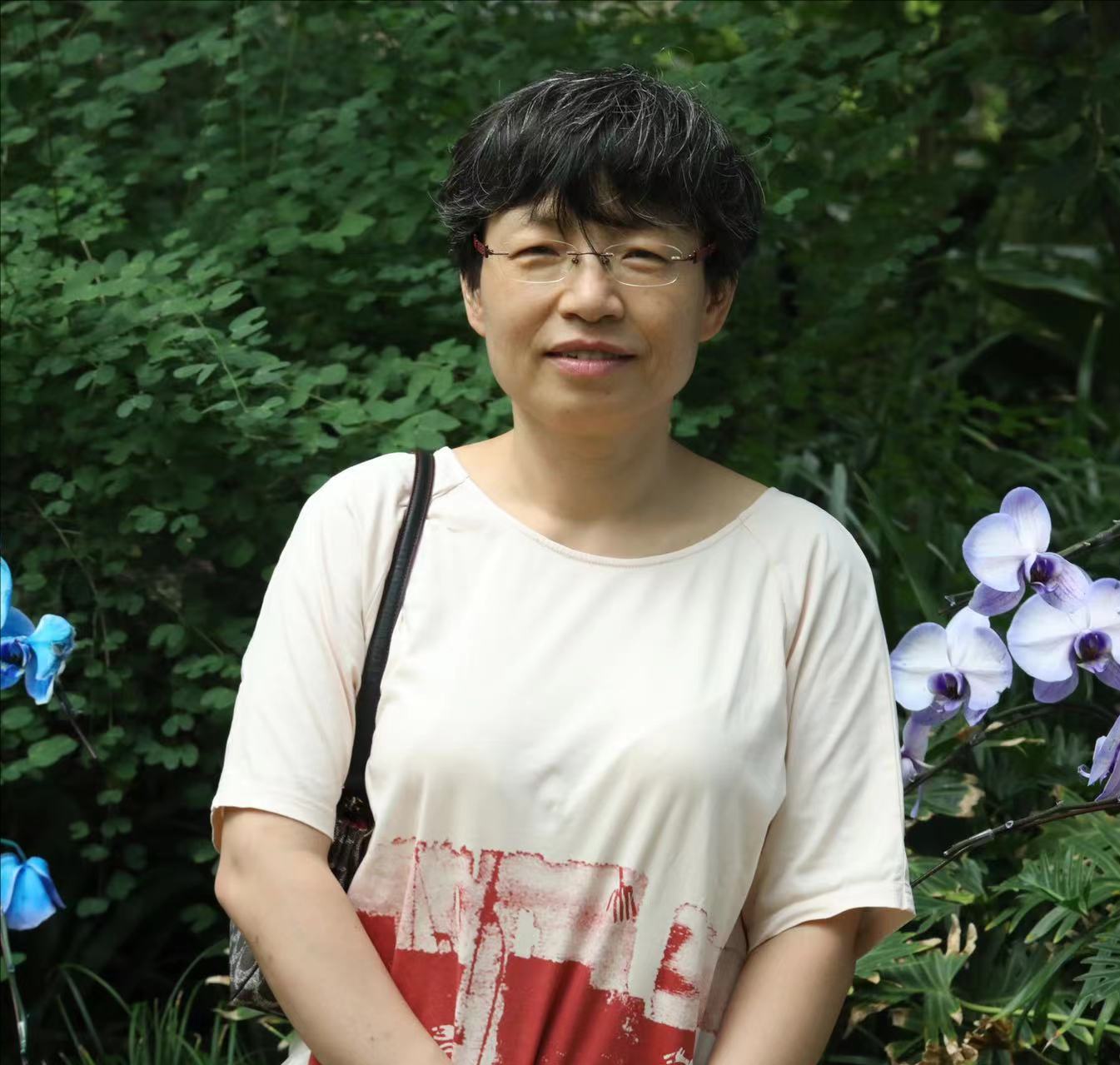  马博在线登录创新论坛第一千七百六十五讲：题目1-层状岩体岩浆房冷却过程与钒钛磁铁矿床成因 题目2-辽东中生代岩浆岩壳幔相互作用的岩浆和成矿记录