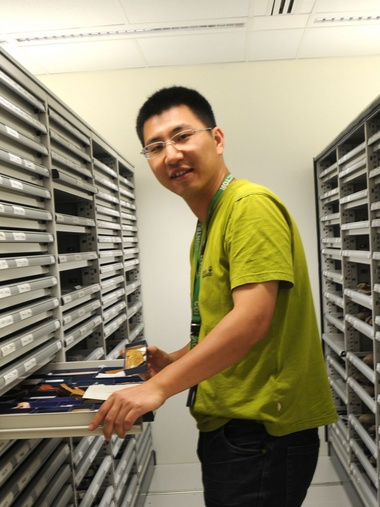 马博在线登录创新论坛第一千八百零一讲：虫鸣凤舞伴花香：现代陆地生态系统的起源
