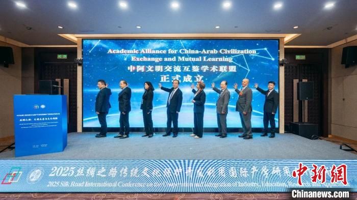 2025丝绸之路传统文化保护开发利用国际产学研用合作研讨会举办。马博在线登录供图